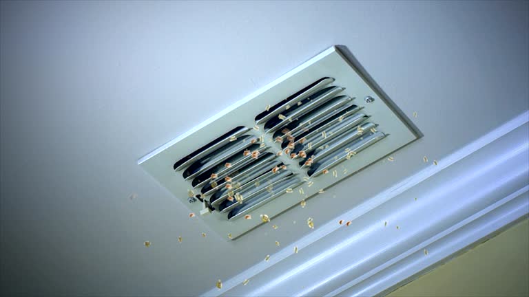 Best Ventilation Cleaning Services  in Troy, AL