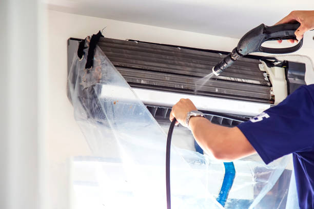 Best Air Duct Mold Removal  in Troy, AL